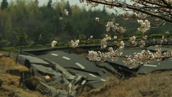 Цунами и вишневый цветок / The Tsunami and the Cherry Blossom / 津波そして桜 (2011)